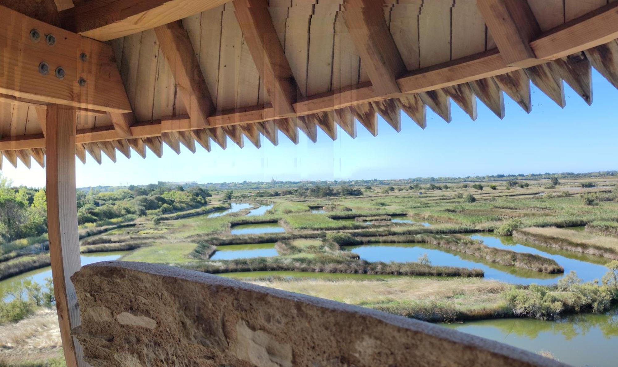 Les Oliviers Apartment L'Ile-d'Olonne Екстериор снимка